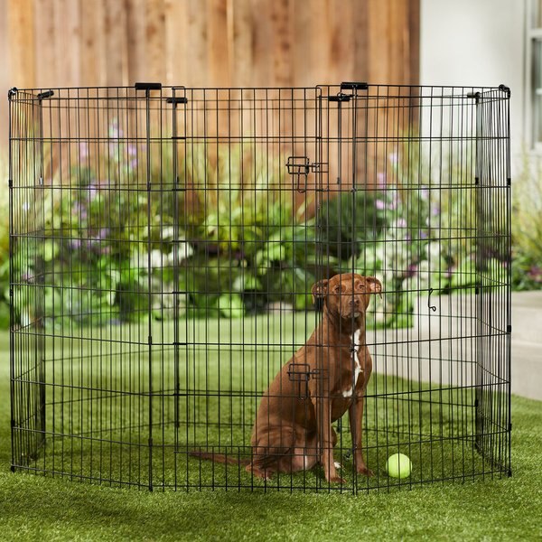 Frisco Dog & Small Pet Wire Exercise Pen with Step-Through Door, Black, 48-in slide 1 of 10