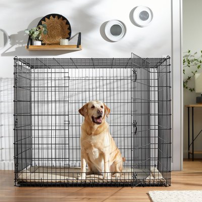 Frisco XX-Large Heavy Duty Double Door Wire Dog Crate, 54 inch, slide 1 of 1