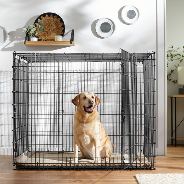 replacement tray for xl dog crate