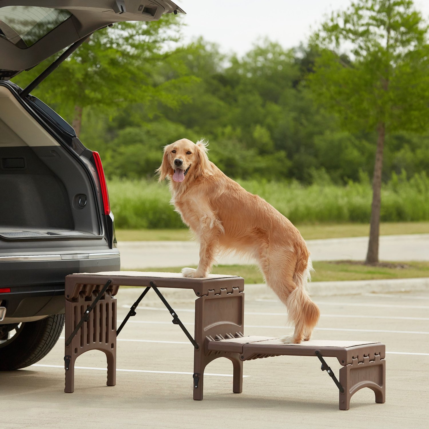 folding portable dog stairs