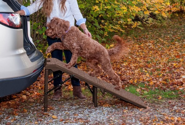 Pet Gear Free-Standing Extra Wide Carpeted Dog Car Ramp, Chocolate slide 1 of 6