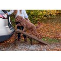 Pet Gear Free-Standing Extra Wide Carpeted Dog Car Ramp, Chocolate