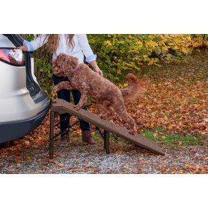 Pet Gear Free-Standing Extra Wide Carpeted Pet Ramp