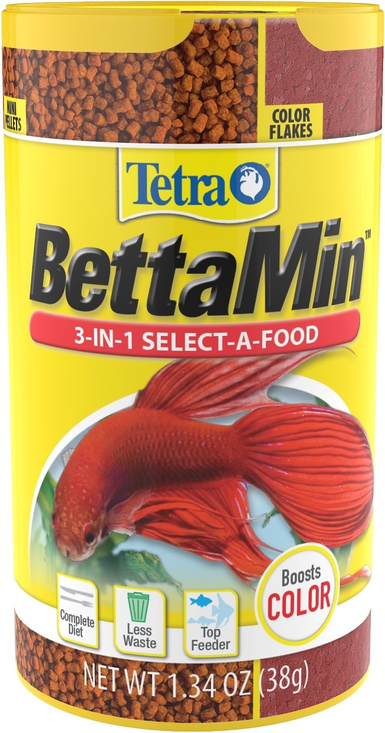 best food for betta fish