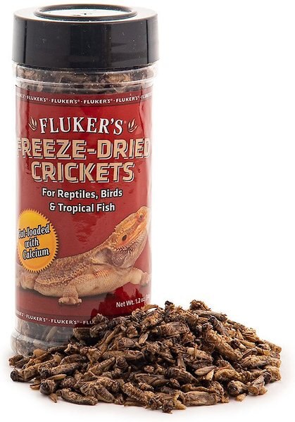 Fluker's Freeze-Dried Crickets Reptile Treats, 1.2-oz jar slide 1 of 5