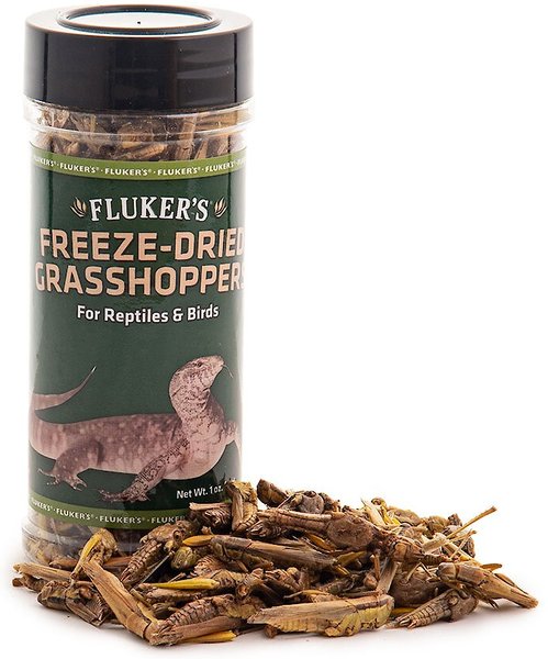 Fluker's Freeze-Dried Grasshoppers Reptile Treats, 1-oz jar slide 1 of 5