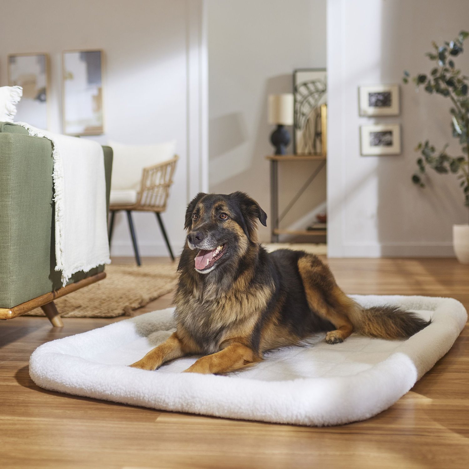 Frisco Quilted Fleece Pet Bed & Crate Mat, Ivory, 54-in - Chewy.com