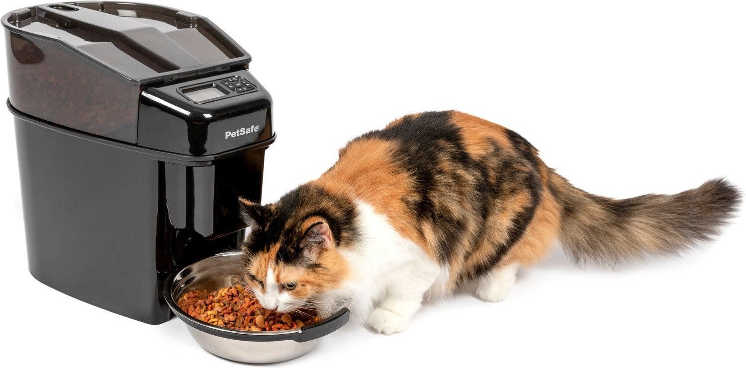 cat feeder machine