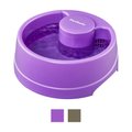 PetSafe Current Circulating Pet Fountain, Purple, Large
