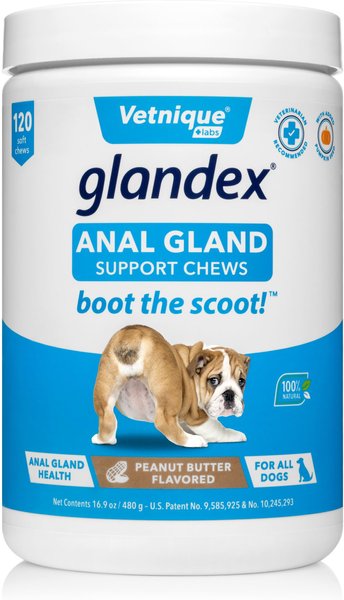 Vetnique Labs Glandex Peanut Butter Flavored Soft Chew Digestive & Anal Gland Supplement for Dogs, 120 count slide 1 of 9