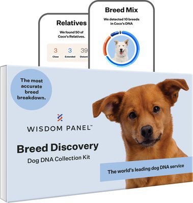 Image result for wisdom panel 3.0 breed identification dog dna test kit