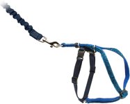 Leashes, Collars & Harnesses - Leashes & Harnesses